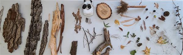 Parts of Trees Parts of Trees